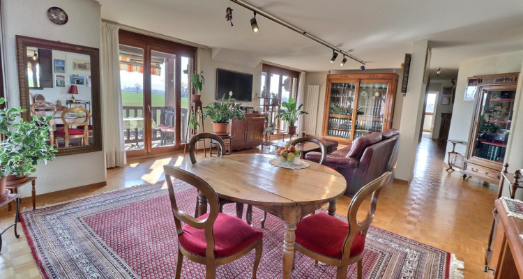 Magnifique duplex en attique en viager occupé sans rente image 1
