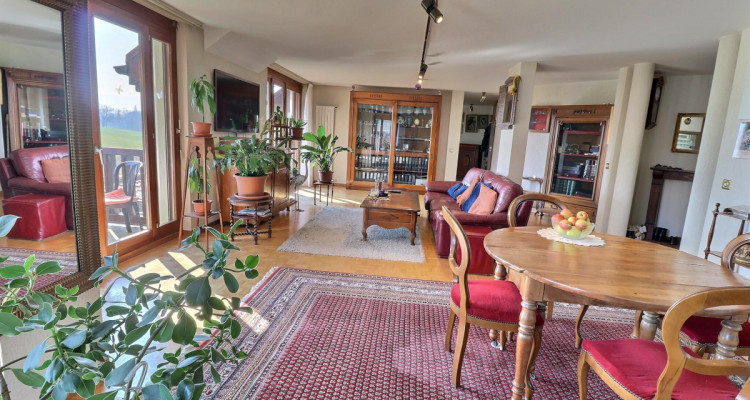 Magnifique duplex en attique en viager occupé sans rente image 2