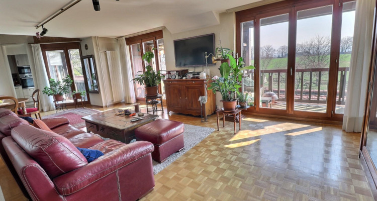 Magnifique duplex en attique en viager occupé sans rente image 3