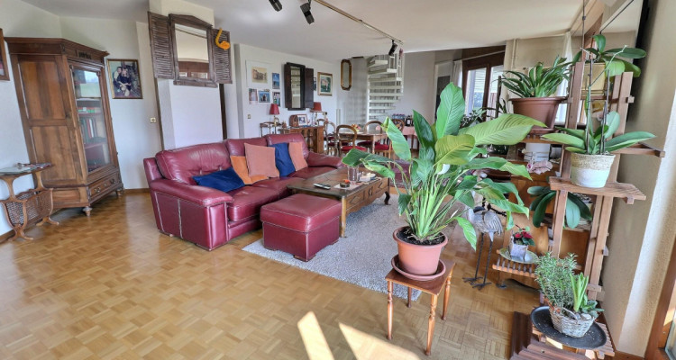 Magnifique duplex en attique en viager occupé sans rente image 4