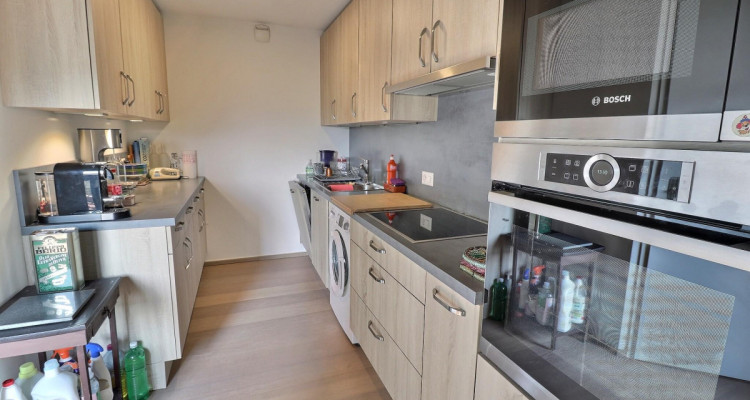 Magnifique duplex en attique en viager occupé sans rente image 6