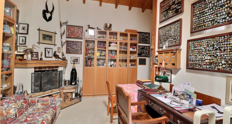 Magnifique duplex en attique en viager occupé sans rente image 7