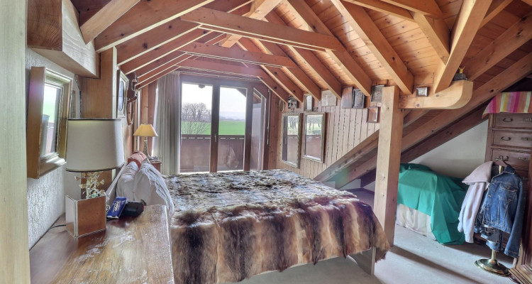 Magnifique duplex en attique en viager occupé sans rente image 9
