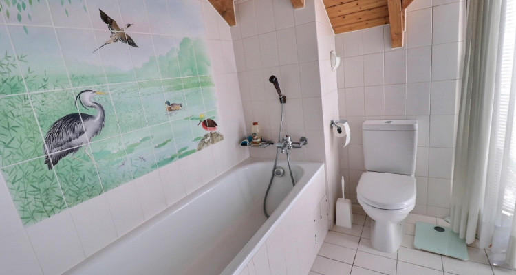 Magnifique duplex en attique en viager occupé sans rente image 11