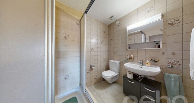 Grosszügige 4.5-Zimmer-Wohnung mit Cheminée, Balkon & Ausbaupotenzial image 10