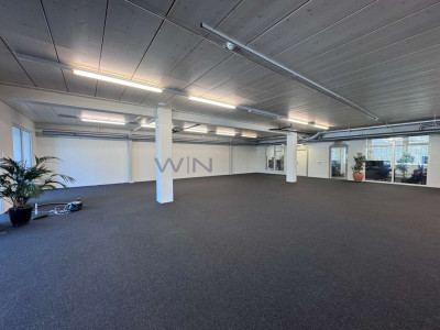 Steuern sparen & durchstarten: Top-Büro + Showroom image 3