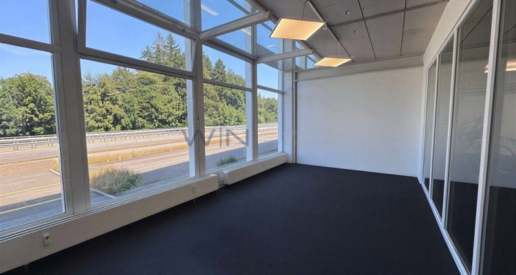 Steuern sparen & durchstarten: Top-Büro + Showroom image 2