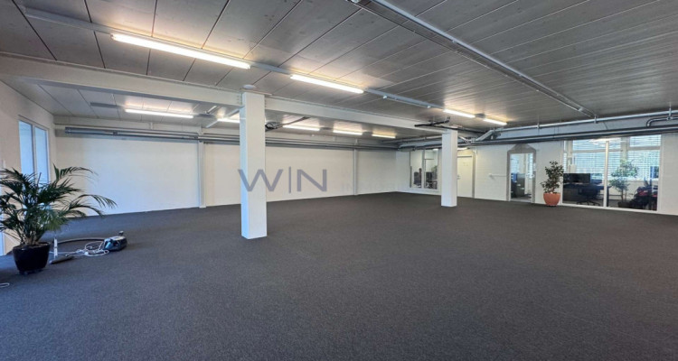 Steuern sparen & durchstarten: Top-Büro + Showroom image 3