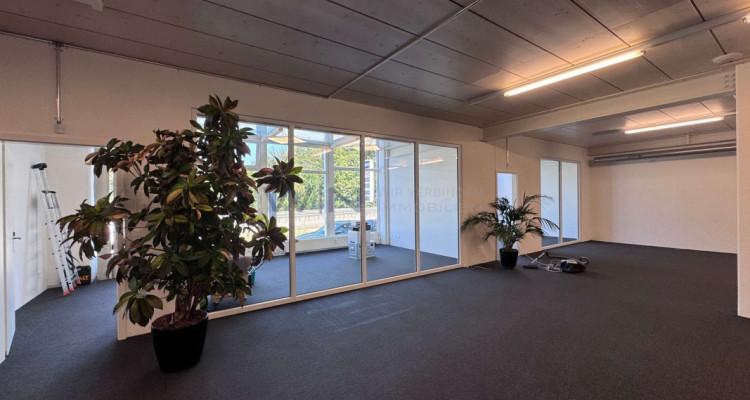 Steuern sparen & durchstarten: Top-Büro + Showroom image 6