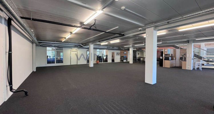 Steuern sparen & durchstarten: Top-Büro + Showroom image 7