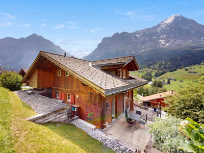 Familiäres Wohnen mit Einliegerwohnung und Bergpanorama image 11