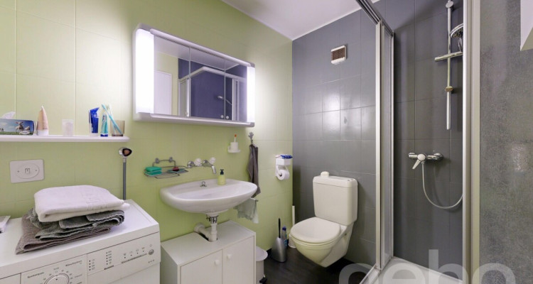 Appartement familial de 5,5 pièces et 157 m² avec cheminée et garage image 10