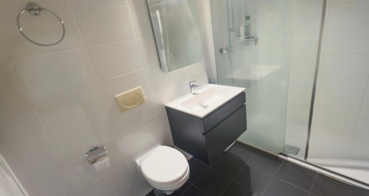 ✨ Martigny Centre – Superbe 2,5 pièces neuf en 2016 + garage-box privé  ✨ image 10