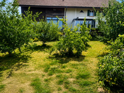 Grande maison en viager semi-occupé sans rente avec grand potentiel image 3