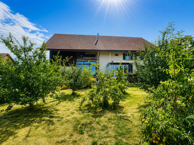 Grande maison en viager semi-occupé sans rente avec grand potentiel image 4