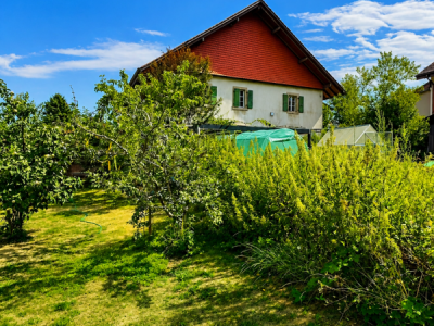 Grande maison en viager semi-occupé sans rente avec grand potentiel image 5