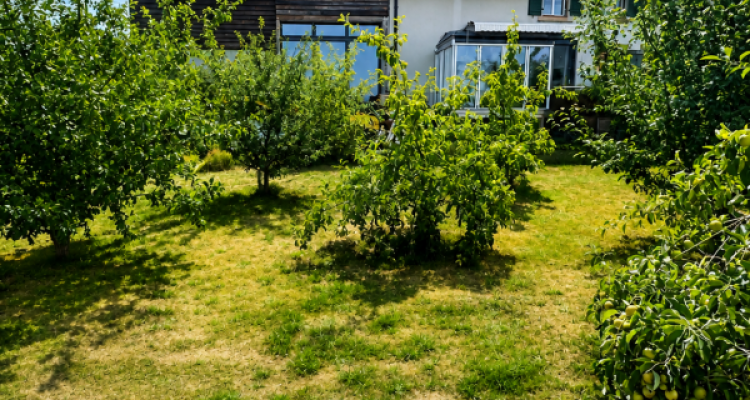 Grande maison en viager semi-occupé sans rente avec grand potentiel image 3