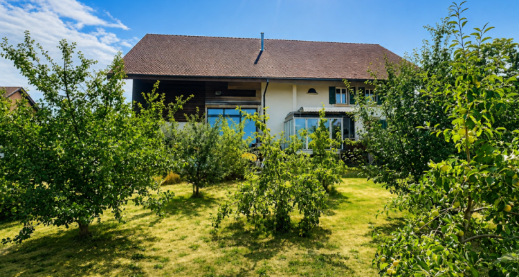 Grande maison en viager semi-occupé sans rente avec grand potentiel image 4