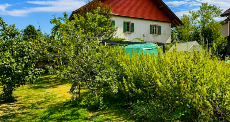 Grande maison en viager semi-occupé sans rente avec grand potentiel image 5
