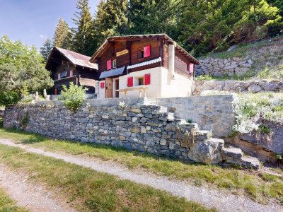 Mayen rénové le long dun chemin privé Savièse/Sanetsch facile daccès image 8