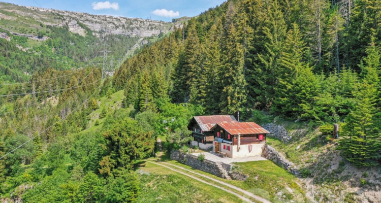 Mayen rénové le long dun chemin privé Savièse/Sanetsch facile daccès image 2