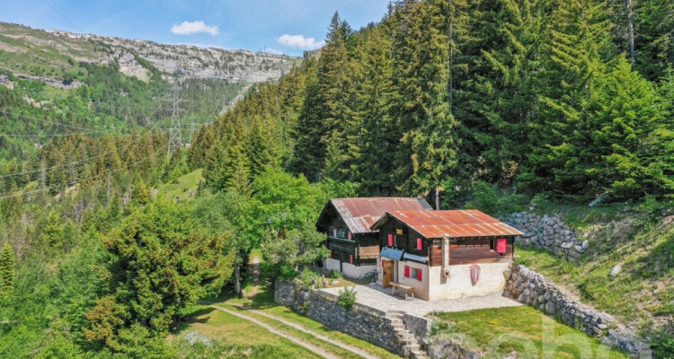 Mayen rénové le long dun chemin privé Savièse/Sanetsch facile daccès image 1
