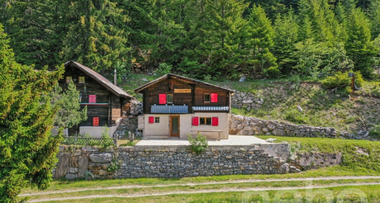 Mayen rénové le long dun chemin privé Savièse/Sanetsch facile daccès image 4