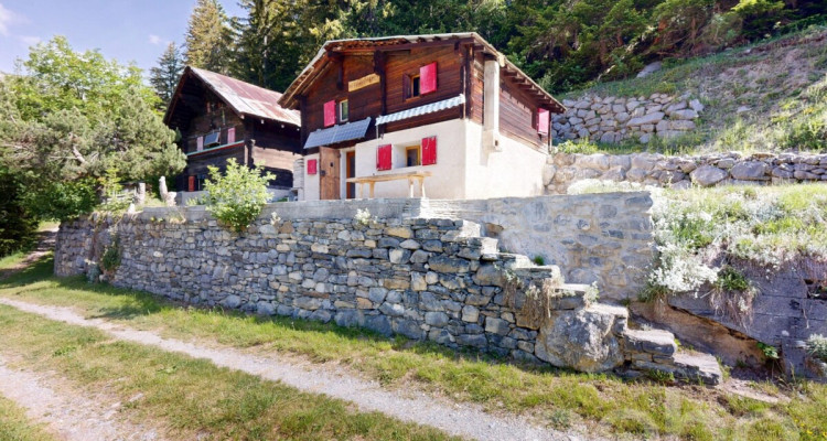 Mayen rénové le long dun chemin privé Savièse/Sanetsch facile daccès image 8