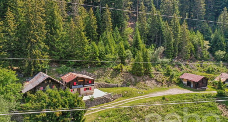Mayen rénové le long dun chemin privé Savièse/Sanetsch facile daccès image 12