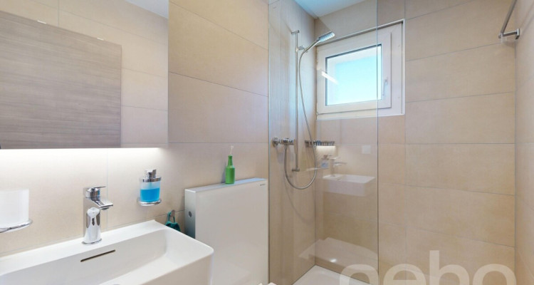Grand 5.5 pièces en excellent état dans immeuble rénové image 12