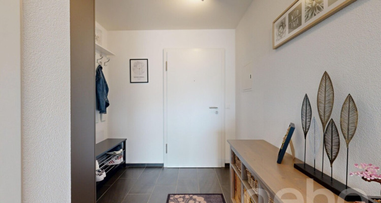 3 pièces en excellent état avec très grand jardin image 10