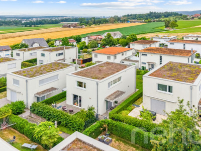 Freistehendes Einfamilienhaus in begehrter Wohnlage Rümlang image 11