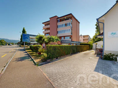 Helle 4.5-Zimmer-Wohnung mit Balkon und Rheinblick in Stein AG image 1