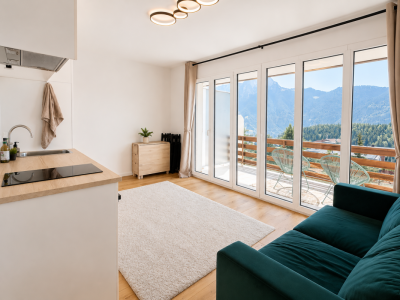 À louer un magnifique studio partiellement meublé et rénové avec vue sur les Dents-du-Midi image 1