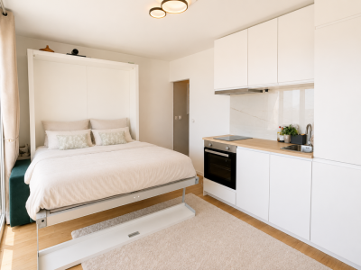 À louer un magnifique studio partiellement meublé et rénové avec vue sur les Dents-du-Midi image 2