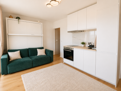 À louer un magnifique studio partiellement meublé et rénové avec vue sur les Dents-du-Midi image 3