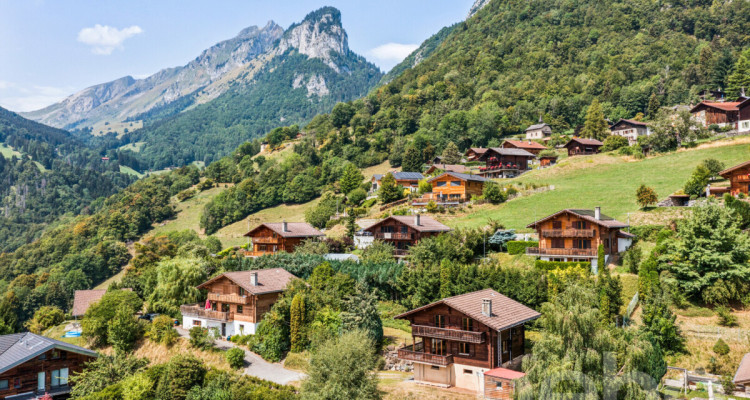 Chalet à Miex : calme absolu et vue panoramique sur les montagnes image 10