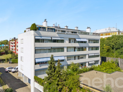 Zentrale 2.5-Zimmer-Wohnung mit Parkplatz und Potenzial image 1