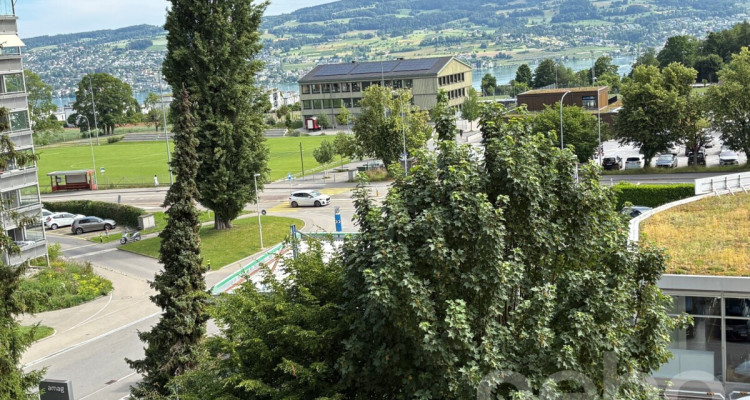 Attraktive 3.5-Zimmer-Wohnung mit teilweisem Seeblick in Horgen image 3