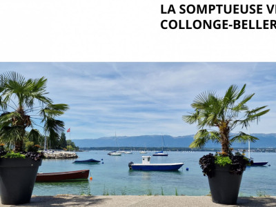 The sumptuous Villa: Timeless elegance &  beautiful volumes, Collonge-Bellerive image 1