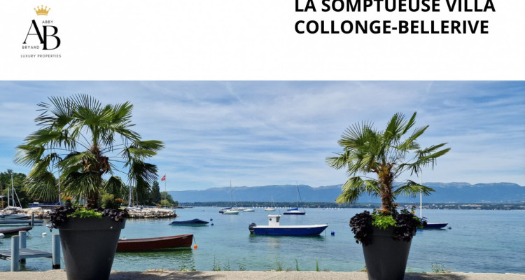 Elégante Villa familiale proche du lac et des plages de Collonge-Bellerive image 1