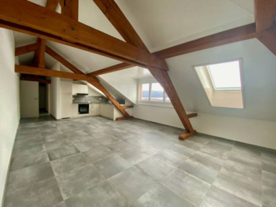Magnifique appartement spacieux, adapté aux personnes à mobilité réduite, 3 pièces,  dans les  Combles, avec ascenceur image 2
