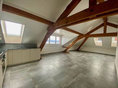 Magnifique appartement spacieux, adapté aux personnes à mobilité réduite, 3 pièces,  dans les  Combles, avec ascenceur image 3