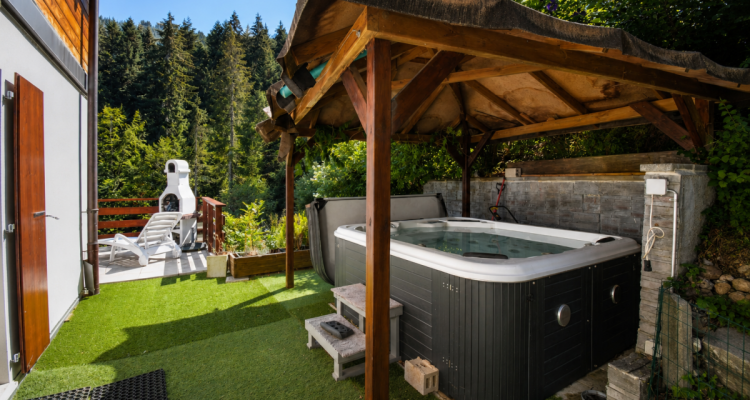 Beau chalet avec jacuzzi à Torgon image 2