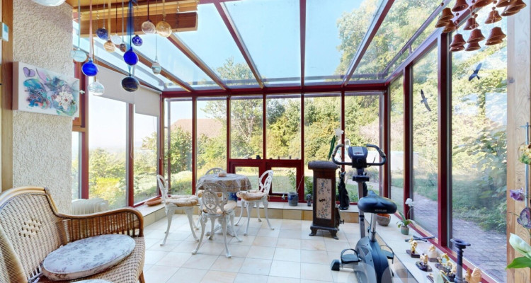 Maison en lisière de forêt, vue lac et Alpes image 9