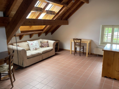 Très belle maison locative des années 30 , 3 appts, 582 m2 terrain image 2