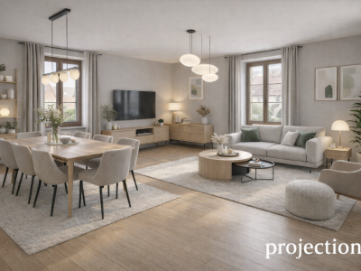 Bel appartement en viager occupé sans rente image 1