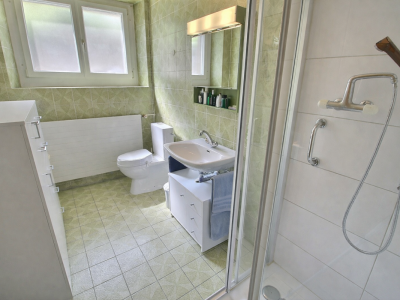 Bel appartement en viager occupé sans rente image 8