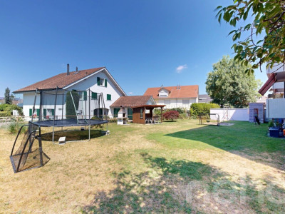 Gepflegtes Mehrfamilienhaus mit 9 Wohnungen in Schwarzenbach SG image 12
