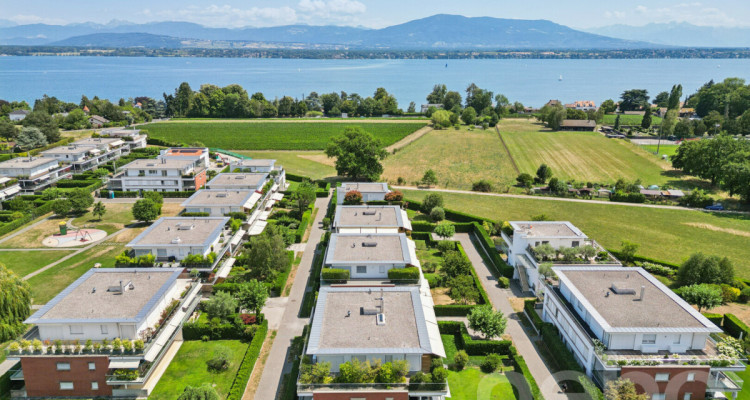 Superbe Attique de 5 pièces, vue lac et montagnes image 2